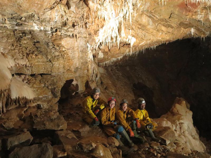 Thumbnail of photo from this article